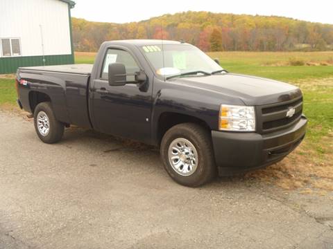 2008 Chevrolet Silverado 1500 for sale at Nesters Autoworks in Bally PA