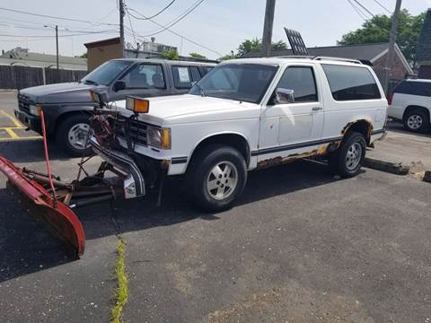 1989 Chevrolet S-10 Blazer for sale at DALE'S AUTO INC in Mount Clemens MI