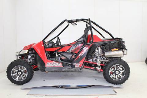 2013 Arctic Cat Wildcat Wild cat