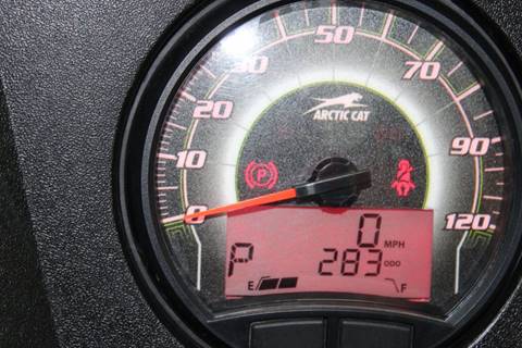 2013 Arctic Cat Wildcat Wild cat