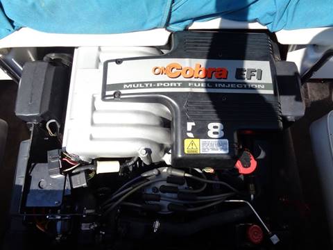 1995 Four Winns 225 Horizon