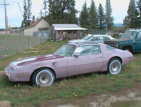 1981 Pontiac Firebird for sale at 1 Owner Car Guy in Stevensville MT