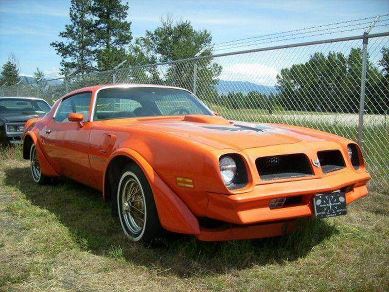 1976 Pontiac Trans Am for sale at 1 Owner Car Guy in Stevensville MT