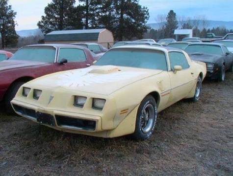 1979 Pontiac Firebird for sale at 1 Owner Car Guy in Stevensville MT