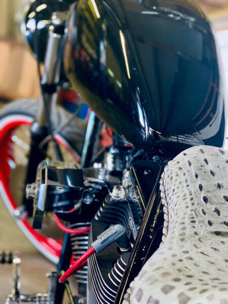 2007 HARLEY ALIGATOR BOBBER (image 6)
