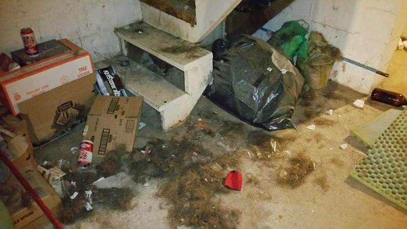 2016 Hauling & Demo Hauling & Demo