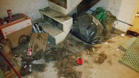 2016 Hauling & Demo Hauling & Demo