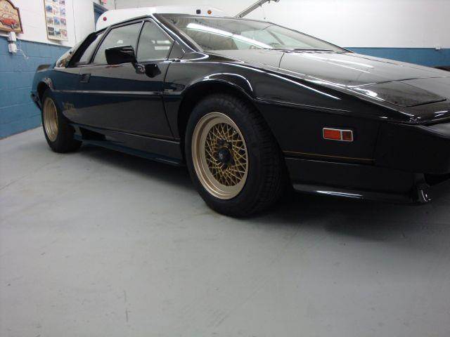 1985 Lotus Esprit for sale at Great Lakes Classic Cars LLC in Hilton NY