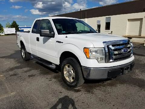 2009 Ford F-150 for sale at Great Lakes Classic Cars LLC in Hilton NY