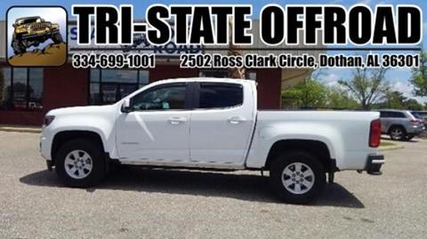 2017 Chevrolet Colorado for sale at Mike Schmitz Automotive Group - Tri-Stateoffroad.net in Dothan AL