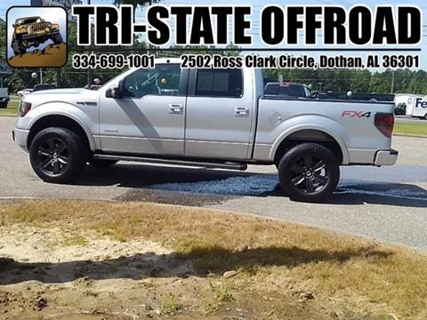 2012 Ford F-150 for sale at Mike Schmitz Automotive Group - Tri-Stateoffroad.net in Dothan AL