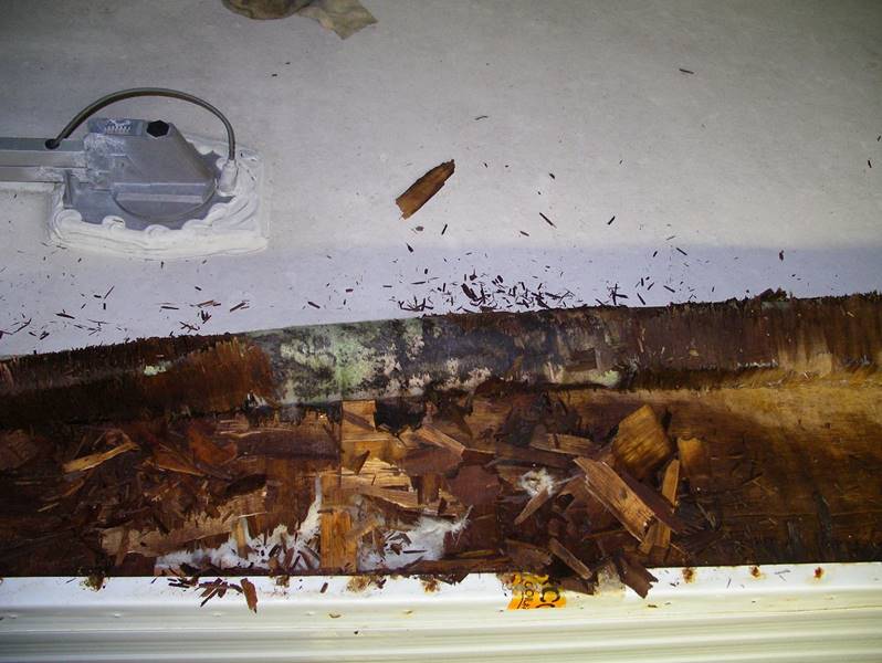 RV Water Damage Professionally Repaired