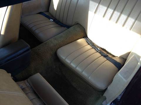 1981 Pontiac Firebird Trans Am