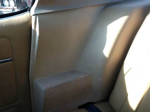 1981 Pontiac Firebird Trans Am