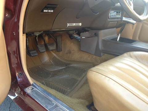 1981 Pontiac Firebird Trans Am