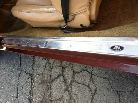 1981 Pontiac Firebird Trans Am