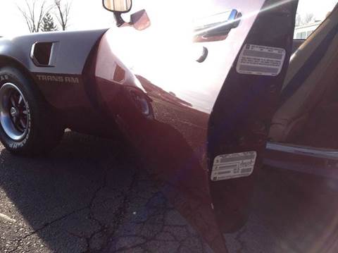 1981 Pontiac Firebird Trans Am