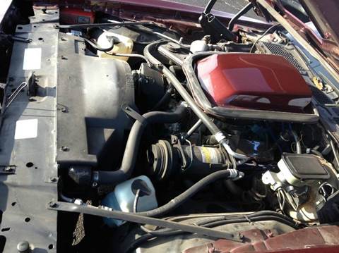 1981 Pontiac Firebird Trans Am