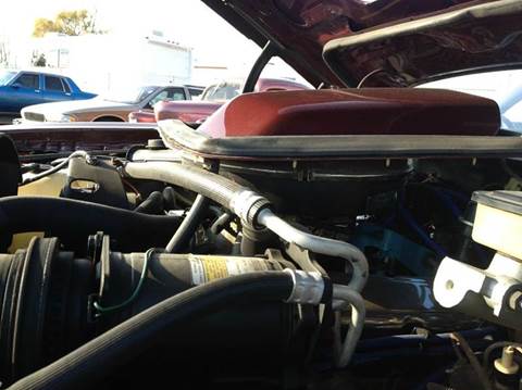 1981 Pontiac Firebird Trans Am