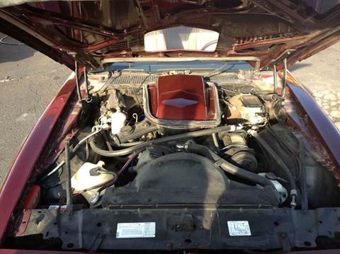 1981 Pontiac Firebird Trans Am