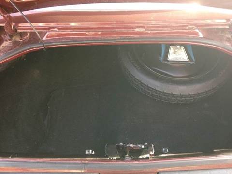 1981 Pontiac Firebird Trans Am