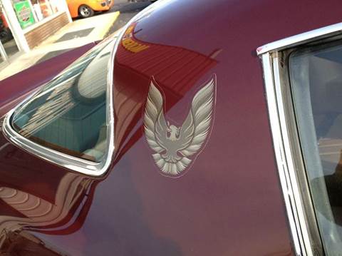 1981 Pontiac Firebird Trans Am