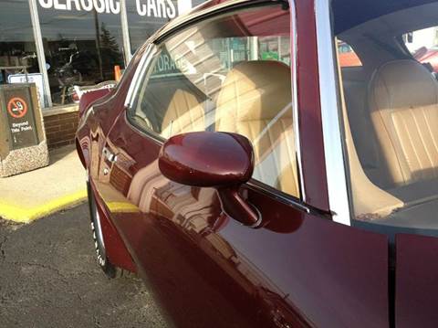 1981 Pontiac Firebird Trans Am