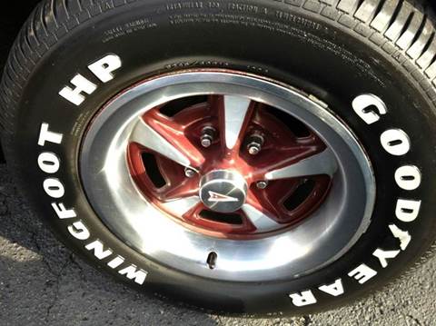 1981 Pontiac Firebird Trans Am