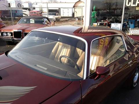 1981 Pontiac Firebird Trans Am