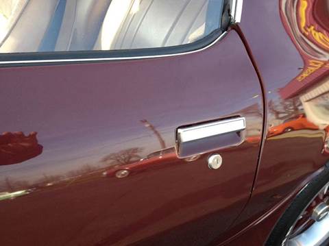 1981 Pontiac Firebird Trans Am