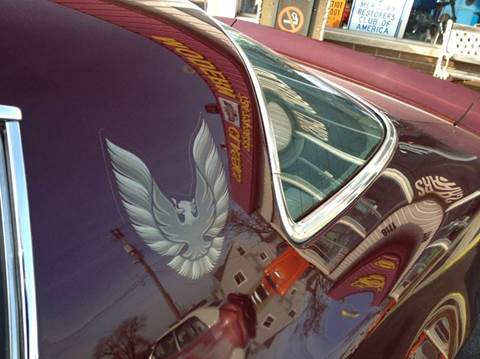 1981 Pontiac Firebird Trans Am