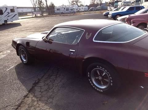1981 Pontiac Firebird Trans Am