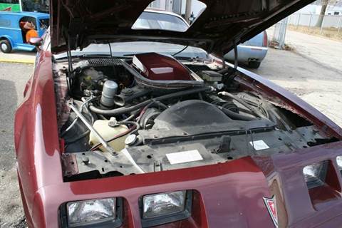 1981 Pontiac Firebird Trans Am
