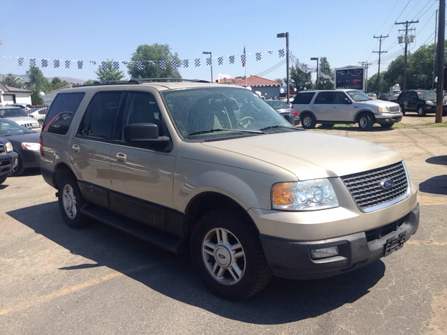 2004 Ford Expedition for sale at GEM STATE AUTO in Boise ID