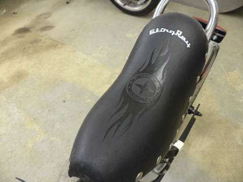 2004 Schwinn Sting - Ray