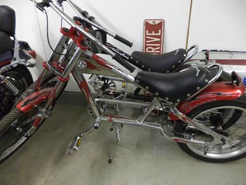 2004 Schwinn Sting - Ray