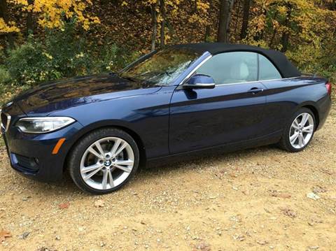 2015 BMW 2 Series for sale at Car Dude in Madison Lake MN