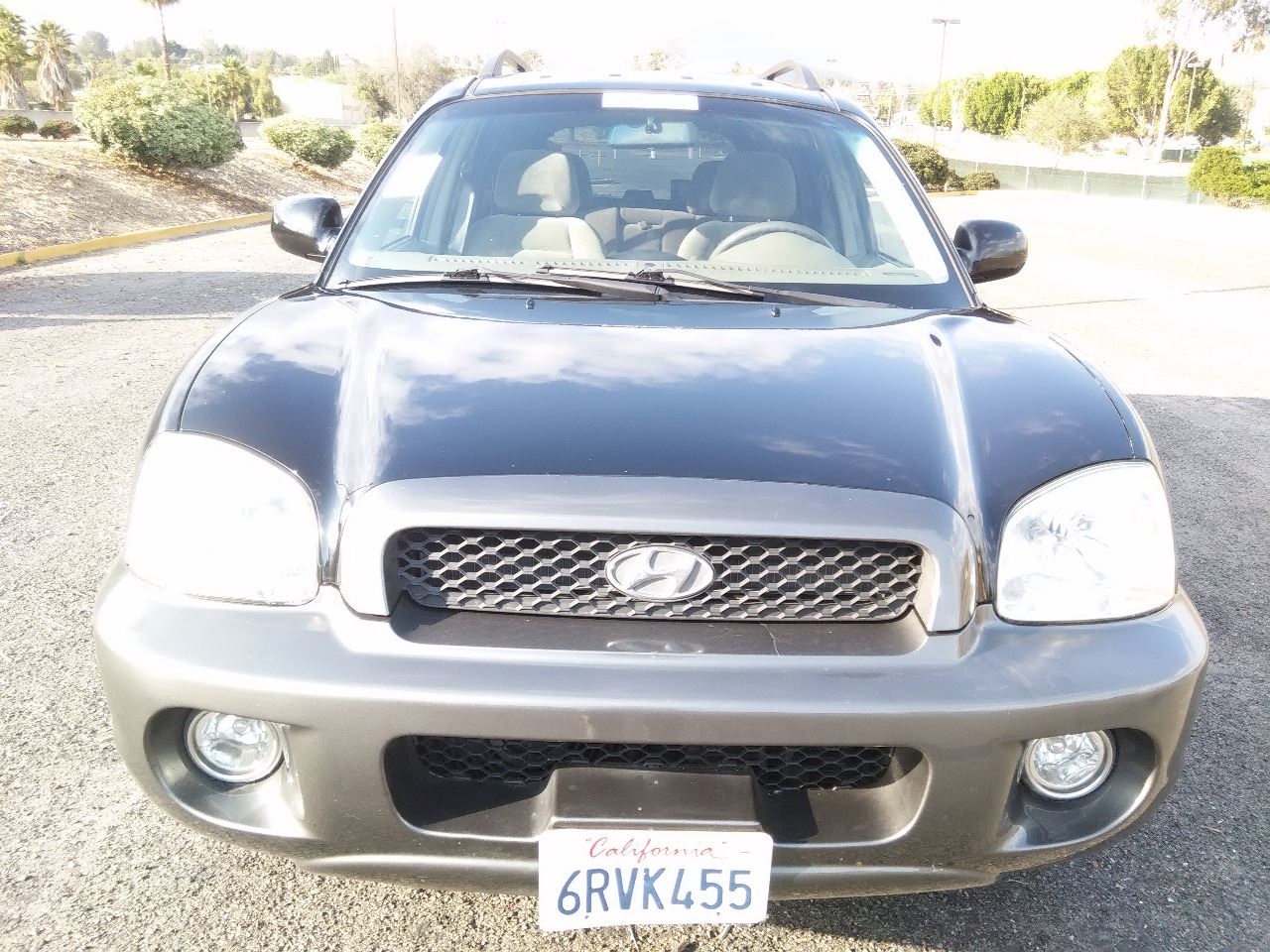 2004 Hyundai Santa Fe for sale at ALSA Auto Sales in El Cajon CA