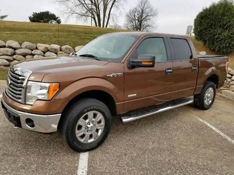 2011 Ford F-150 for sale at Sunfish Lake Motors in Ramsey MN