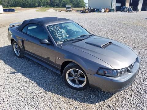 2003 Ford Mustang for sale at Zuma Motorsports, LTD in Celina OH